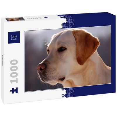 Lais Puzzle Labrador 1000 Teile