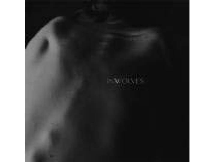 Inwolves