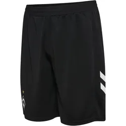 hummel SV Werder Bremen Torwartshorts 2026/27 Kinder 2001 - black 128