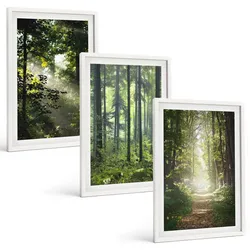 BILDER SET 3er Set - 40x60 cm Weißer Rahmen - Grüne Wälder mit Lichtstrahlen