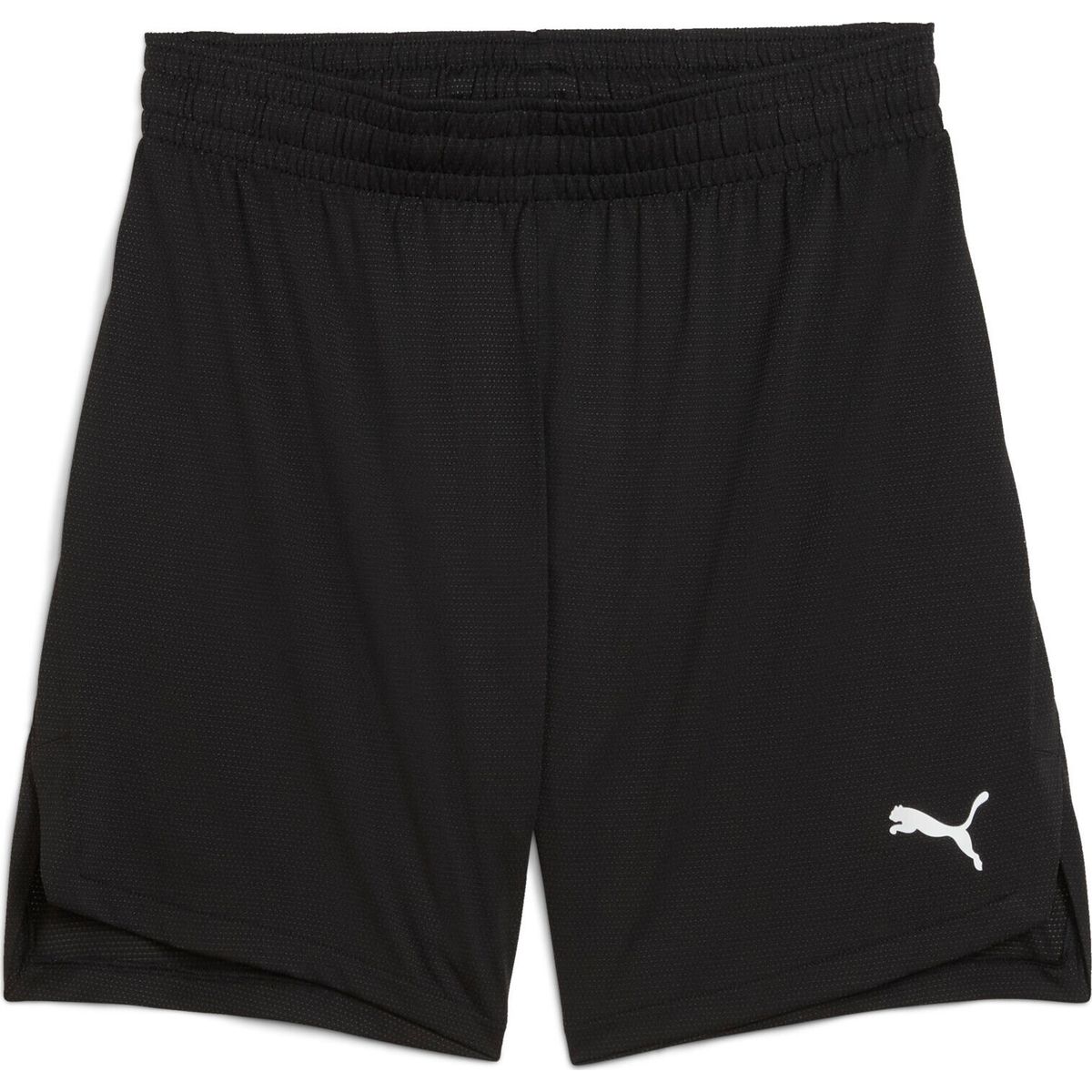 Puma Teamjaws Practice Shorts puma black (01) XS 685370-01-XS