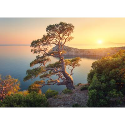 Fototapete PAPERMOON "Tree Mountain Sunset", bunt, B:2,5m L:1,86m, Vlies, Tapeten