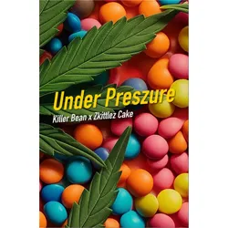Dope Seeds Under Preszure 6 Samen - 6