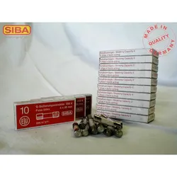 Siba G-Sicherung F 4A 171100
