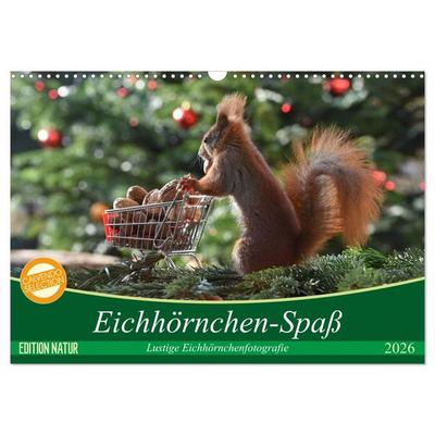 Eichhörnchen-Spaß (Wandkalender 2026 DIN A3 quer), CALVENDO Monatskalender