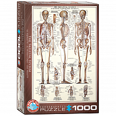 eurographics Puzzle - Das Skelett - 1000 Teile 300992