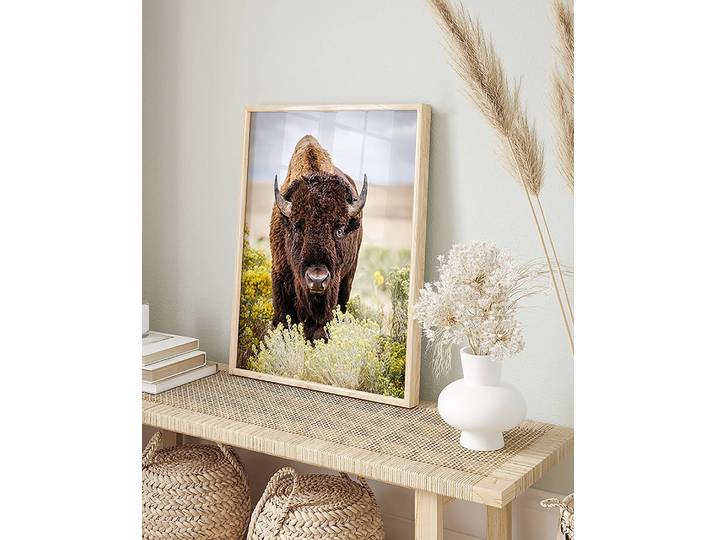 Bild North American Bison Buche Massiv, lackiert Acrylglas Multicolor 32 x 42cm