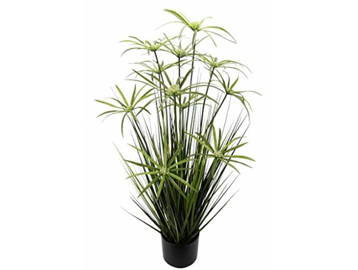 Flair Flower Cyprusgras in pot, kattengras, siergras, siergras, decoratieve plant, kunstplant Cyprus, potplant, groene plant, kunstplant, kunstmatige decoratieve plant, vaste plant