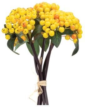 Yellow Berry Bundle (Set of 2) by Melrose in Yellow Green