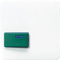 Jung Abdeckung aws CD 642 C WW