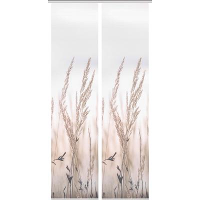 Schiebegardine VISION S "RELVA", beige (natur), B:60cm H:260cm, Polyester, Gardinen, DIGITALDRUCK