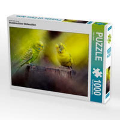 CALVENDO Puzzle Wunderschöner Wellensittich 1000 Teile Lege-Größe 64 x 48 cm Foto-Puzzle Bild von Peter Roder