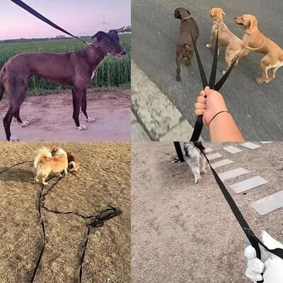 Uplifted Goods Strong Nylon Pet Leash For Dogs And Cats black 3 M