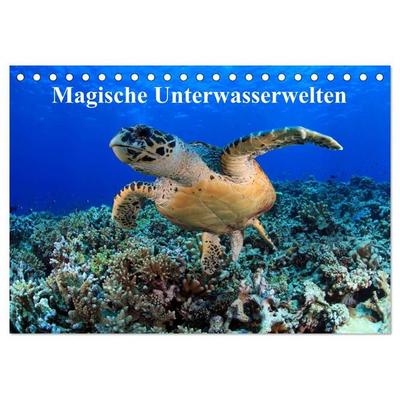 Magische Unterwasserwelten (Tischkalender 2027 DIN A5 quer), CALVENDO Monatskalender