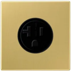 Jung Steckdose US-Norm NEMA ME 2521-20 C