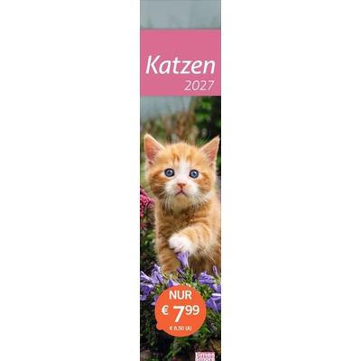 times&more Katzen Langplaner 2027