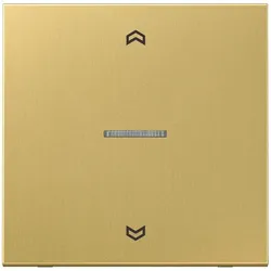 Jung eNet Funk-Steuertaste FM ME 1700 P C