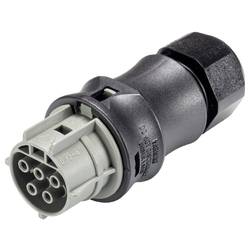 Wieland Electric 96.051.4154.3 Steckverbinder