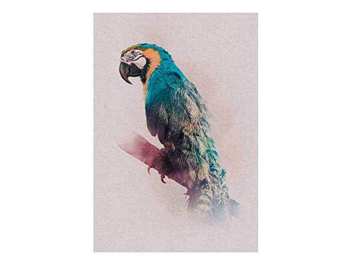 Komar Animals Parrot – Taille : 50 x 70 cm Impression (sans cadre) – Pure Boutique