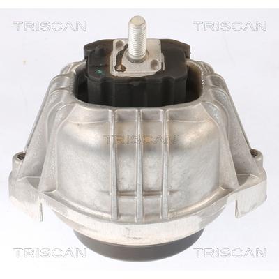 TRISCAN Lagerung, Motor 850511104 für BMW