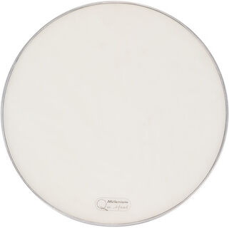 "Millenium QuiHead 20"" Mesh Head Blanc"