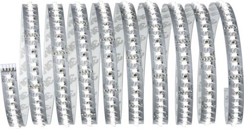 Paulmann MaxLED 1000 70589 LED-Streifen-Basisset mit Stecker 24V 3m Tageslichtweiß 1St.