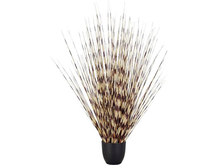 Kunstgras CREATIV GREEN Grasbusch Miscanthus , creme, braun, H:90cm, Obermaterial: 100% Kunststoff, Kunstpflanzen, Kunstgras, mit außergewöhnlicher Farbgestaltung