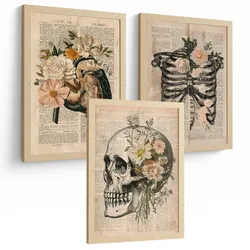 POSTER Set aus 3 Anatomie Mensch Drucke und Wandbilder mit Leber Rippen und Schädel Retro Floraler Stil Wanddekoration Größe Leichter Holzrahmen A3