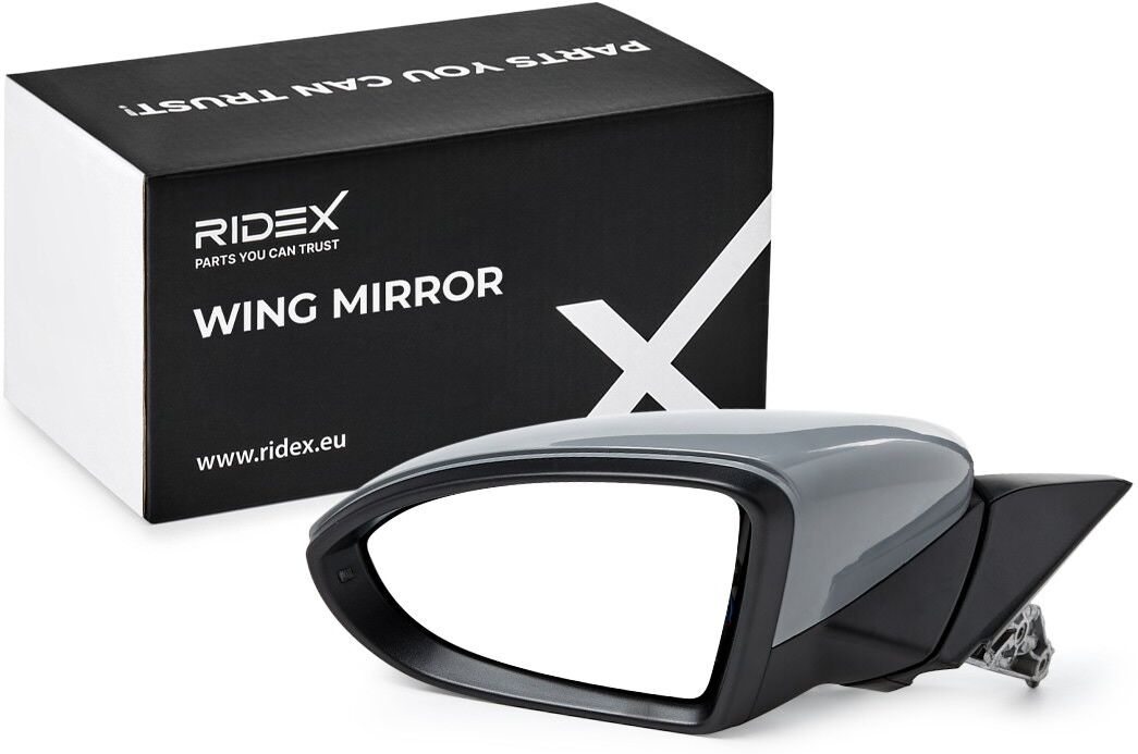 RIDEX 50O0591 Wing mirror