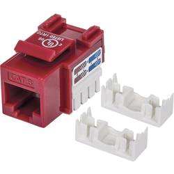 Intellinet 210614 RJ45-Einbaumodul Keystone CAT 6 1 St.