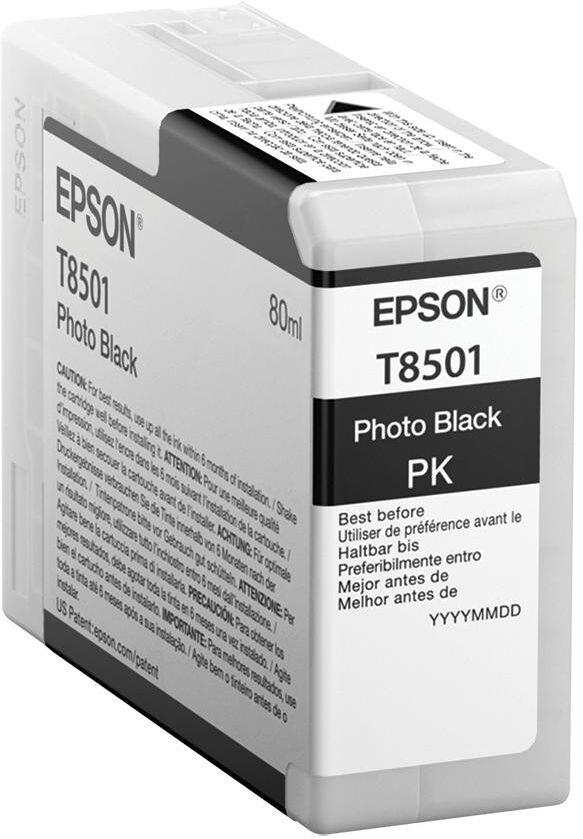 Cartucho de tinta negro fotográfico EPSON T850100 - C13T850100