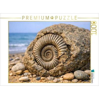 CALVENDO Puzzle Ammonit im Stein am Strand | 1000 Teile Lege-Größe 64x48cm Foto-Puzzle für glückliche Stunden