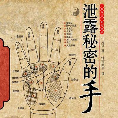 泄露秘密的手 - 牛克锦, Audio, 4099995944587