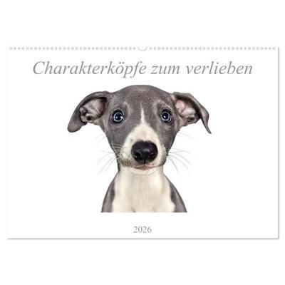 Charakterköpfe zum verlieben (Wandkalender 2026 DIN A2 quer), CALVENDO Monatskalender