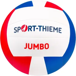 Sport-Thieme, Volleybälle