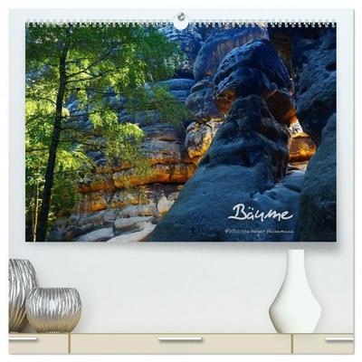 Bäume (hochwertiger Premium Wandkalender 2026 DIN A2 quer), Kunstdruck in Hochglanz