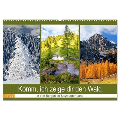 Komm, ich zeige dir den Wald (Wandkalender 2027 DIN A2 quer), CALVENDO Monatskalender