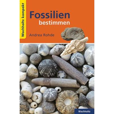 Fossilien bestimmen KOMPAKT, Taschenbuch von Andrea Rohde, Wachholtz, 978-3-529-05473-0