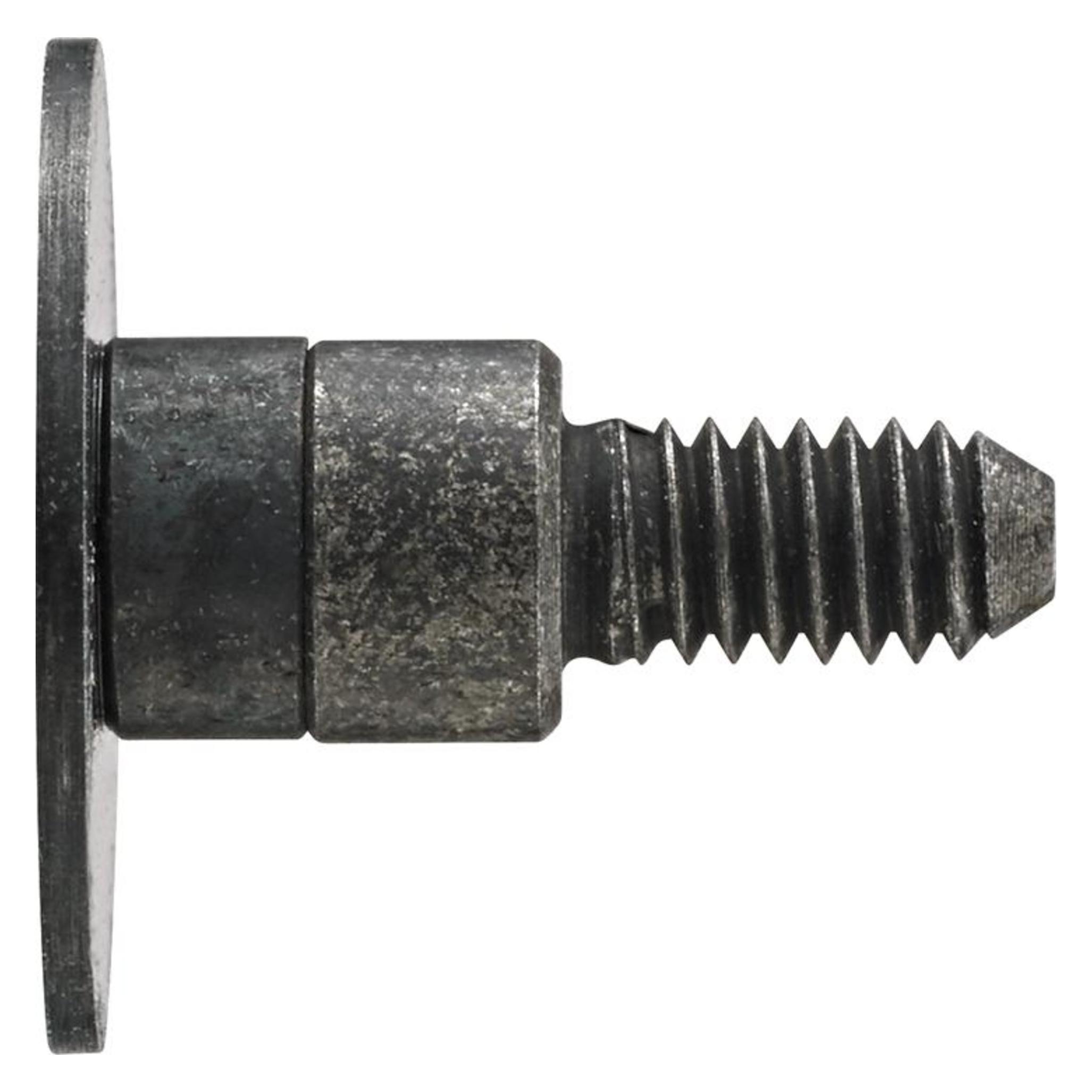 Magni Messeinsatz Stahl Teller 10x0,5mm KÄFER (4031452624021)