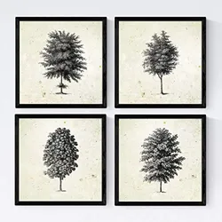 POSTER Set mit 4 Blättern der Baumstamm fein Jahrgang Hintergrund 30x30 cm Rahmenlos