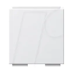 GIRA55 BLIND RWM - Blindabdeckung für Datendosen/Keystone -Module, Reinweiß seidenm