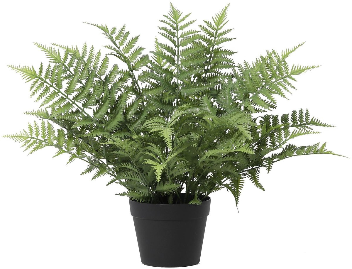 Florafy Kunstplant Varen Nephrolepis 59cm - Groene kunstplant voor binnen