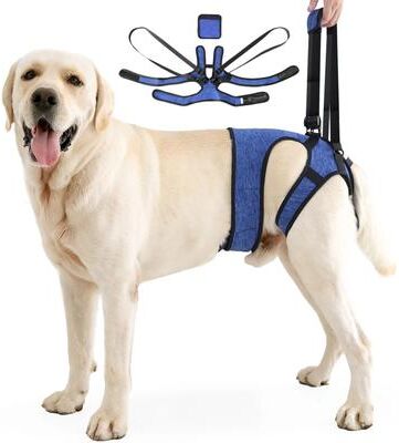 Uplift Picks SupportStride Dog Lift Harness For Hind Leg Walking Assistance blue xl