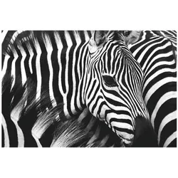 Paperflow Wandbild »Zebra«