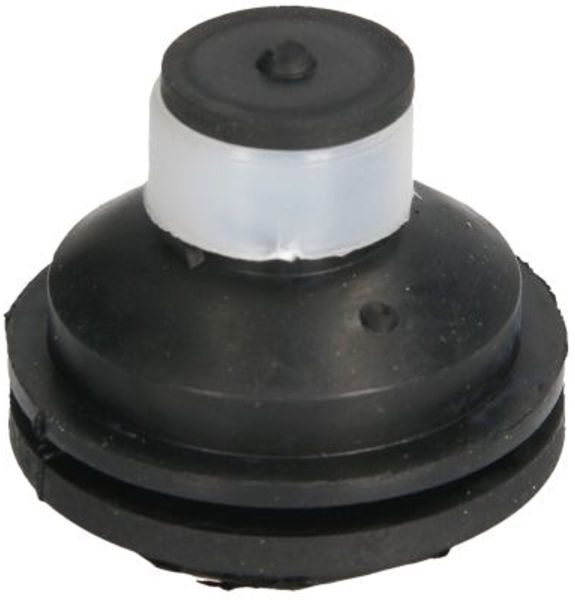 Motorträger REINHOCH RH11-2109