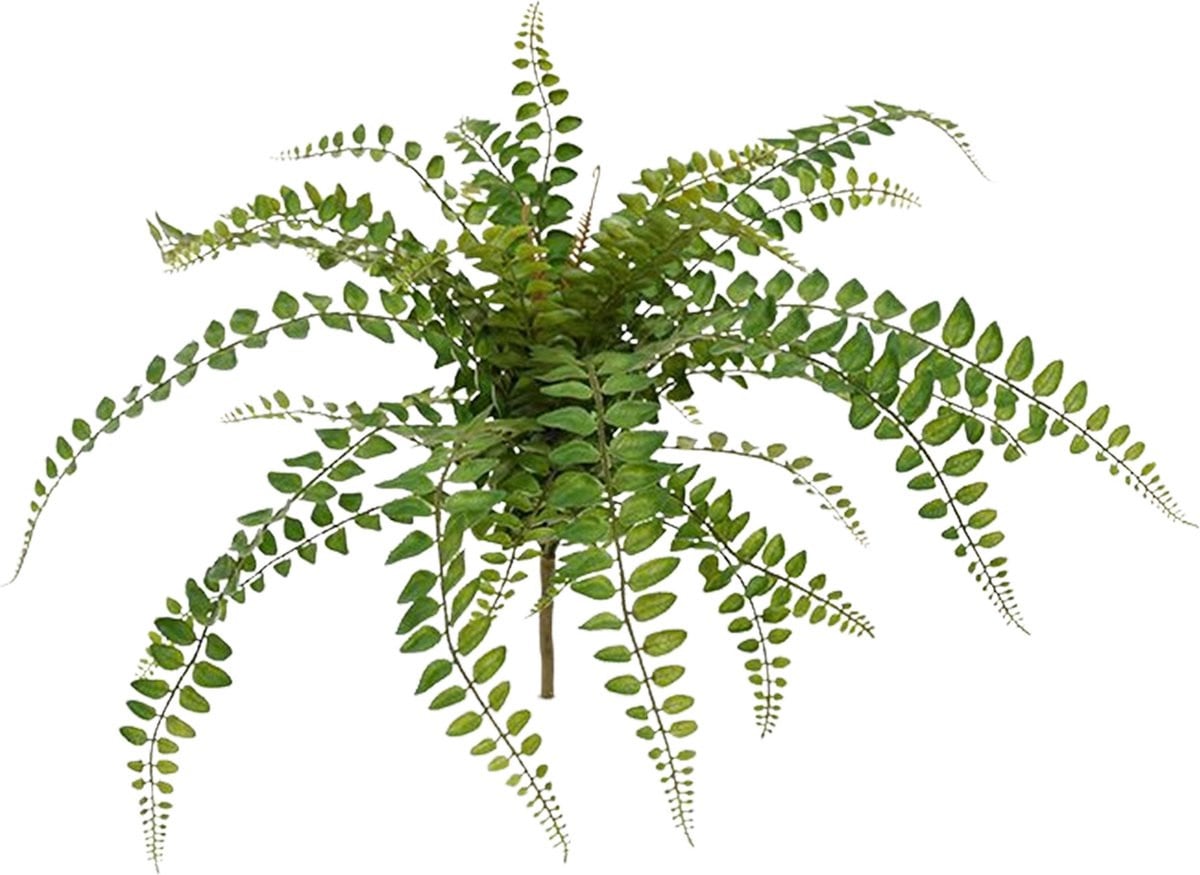 Rotundifolia Varen kunstplant, groen, 55 cm