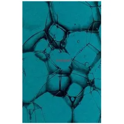 Ecstasy, Fachbücher von Nicholas Saunders