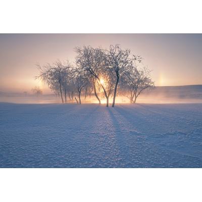 Fototapete PAPERMOON "Photo-Art BINGO Z, SCHNEELANDSCHAFT IM WINTER", bunt, B:4m L:2,6m, Vlies, Tapeten
