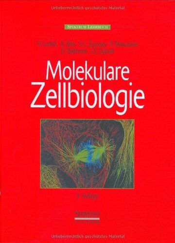 Harvey Lodish - Molekulare Zellbiologie - Preis vom 09.10.2026 07:28:09 h
