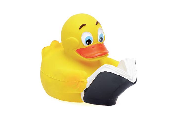 Lanco Badeente Buch